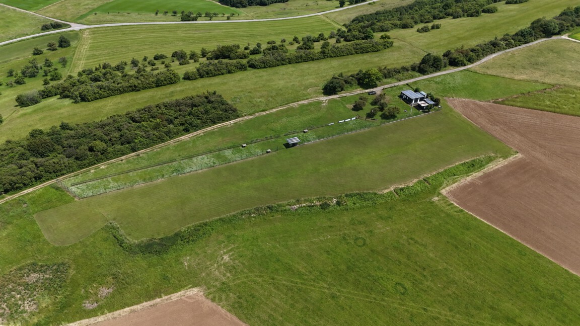 dji_fly_20240608_142550_0058_1717850353969_photo dji_fly_20240608_142550_0058_1717850353969_photo